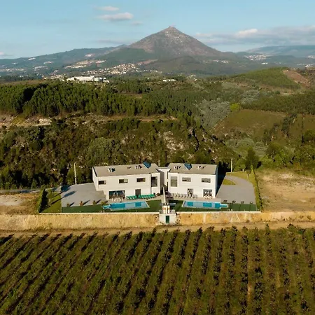 Casa Dos Mirtilos Duke T8 Celorico De Basto Buitenkant foto